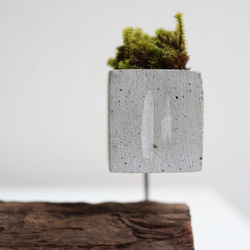 cement-lumber-moss-vase  15 4枚目の画像