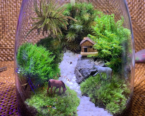 No.297 苔アート　苔テラリウム　完成品 No.298 苔アート 苔テラリウム 完成品 - メルカリ