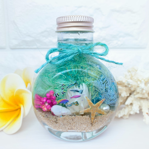 ハーバリウム Herbarium 海 umi ネコ瓶 ミニアクアリウム ① ハー  