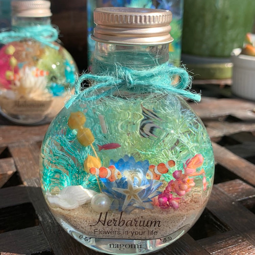 ハーバリウム Herbarium 海 umi ネコ瓶 ミニアクアリウム ハー