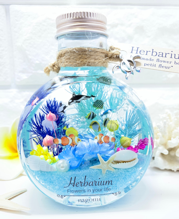 ハーバリウム Herbarium 海 umi ネコ瓶 大 ミニアクアリウム 103
