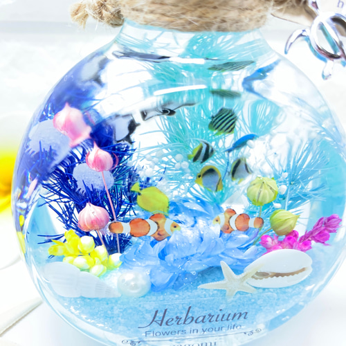 Ocean Life (海の生きもの) 彫刻アクセサリー 4-1A,1B Ocean Life (海