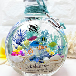 ハーバリウム Herbarium 海 umi ネコ瓶 大 ミニアクアリウム