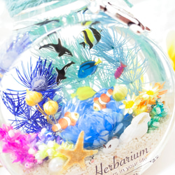 ハーバリウム  Herbarium　海　umi ネコ瓶 大 ミニアクアリウム 3枚目の画像