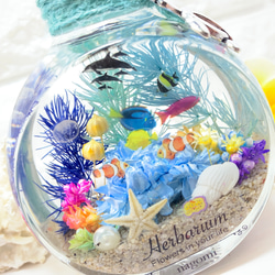 ハーバリウム  Herbarium　海　umi ネコ瓶 大 ミニアクアリウム 2枚目の画像