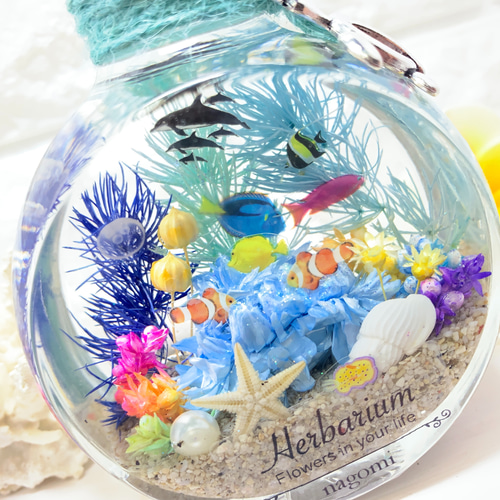 ハーバリウム Herbarium 海 umi ネコ瓶 大 ミニアクアリウム