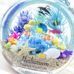 ハーバリウム  Herbarium　海　umi ネコ瓶 大 ミニアクアリウム 3枚目の画像