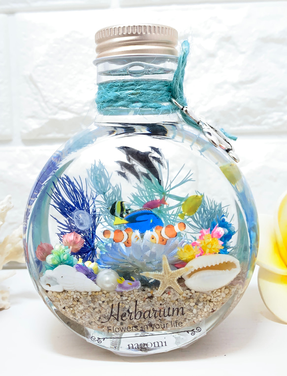 ハーバリウム  Herbarium　海　umi ネコ瓶 大 アクアリウム 1枚目の画像