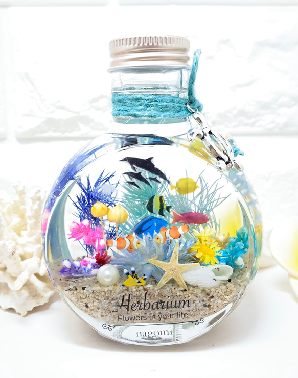 ハーバリウム  Herbarium　海　umi ネコ瓶 大 アクアリウム 1枚目の画像