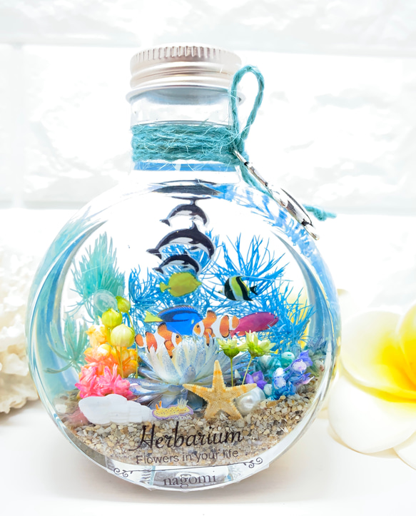 ハーバリウム  Herbarium　海　umi ネコ瓶 大 アクアリウム ② 1枚目の画像