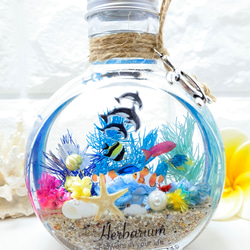 ハーバリウム  Herbarium　海　umi ネコ瓶 大 アクアリウム ⑫ 1枚目の画像