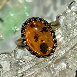バルト海産 天然琥珀 バルティックアンバー ring（15～23号