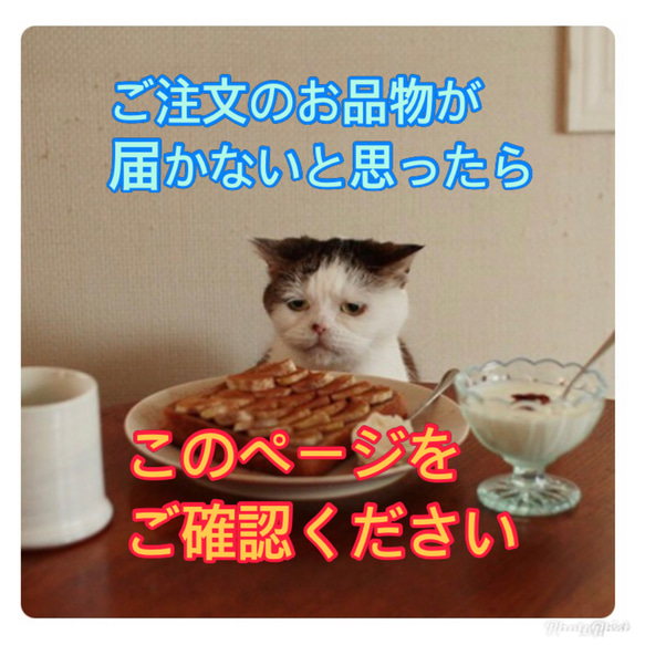 郵便物がなかなか届かないと思ったら、ここをご確認ください 指輪 