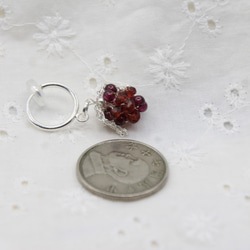 純銀莓果–石榴莓果 第3張的照片