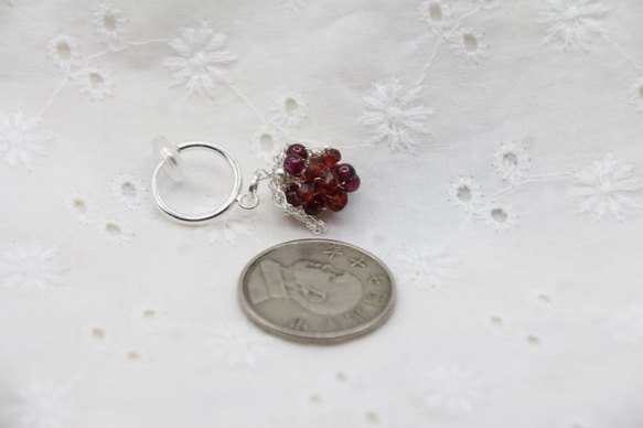 純銀莓果–石榴莓果 第3張的照片