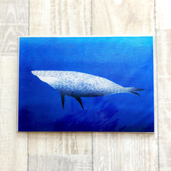 アート作品A5プリント「極彩色のスイミー＆鯨のスイミー」 5枚目の画像