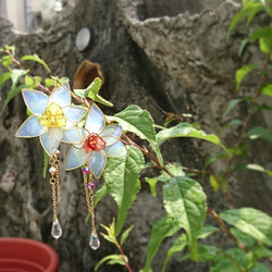 花躍～水仙 第1張的照片