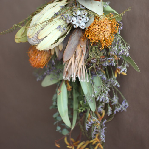 完売:ワイルド ドライフラワー【バンクシア・プロテア、ピンクッション