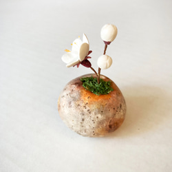 5185.bud 粘土の鉢植え ウメ - 白 2枚目の画像