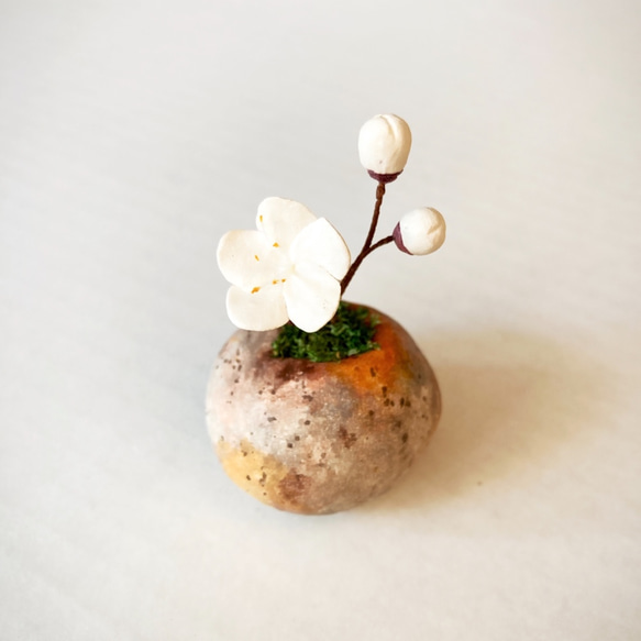 5185.bud 粘土の鉢植え ウメ - 白 3枚目の画像