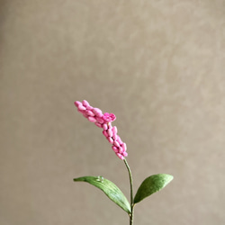 5440.bud 粘土の鉢植え イヌタデ 5枚目の画像