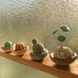 1990.［ゆめぷうさま専用］bud 粘土の鉢植え ステファニア・ヴァノサ 5枚目の画像