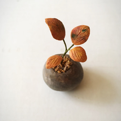 3830.bud 粘土の鉢植え 紅葉 3枚目の画像