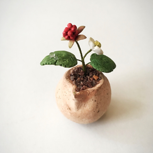 4119.bud 粘土の鉢植え 冬イチゴ 4枚目の画像