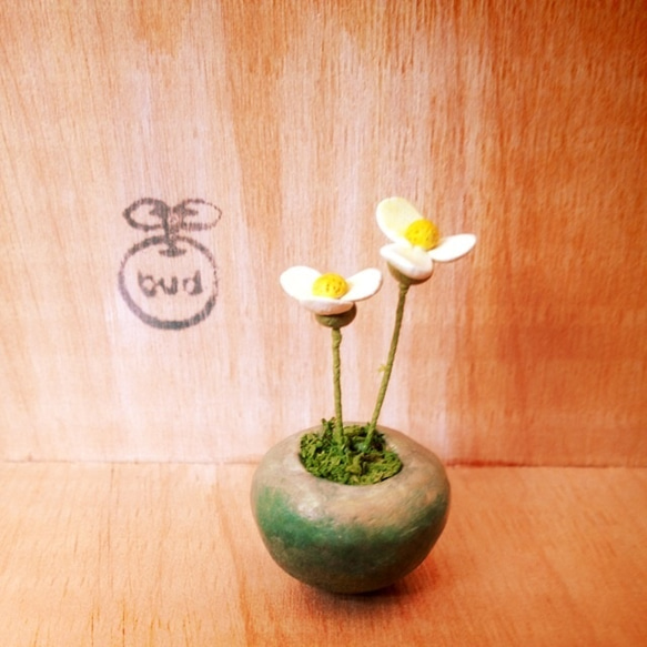 723. bud 粘土の鉢植え 小さな花 1枚目の画像