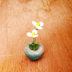 723. bud 粘土の鉢植え 小さな花 2枚目の画像