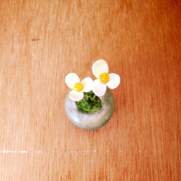 723. bud 粘土の鉢植え 小さな花 3枚目の画像