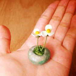 723. bud 粘土の鉢植え 小さな花 4枚目の画像
