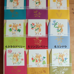 お好きな3種選択　ハンドプリント【エゾリスと野の花のカード】 2枚目の画像
