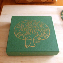 版画で刷った箱入りレターセット「エゾリスとくるみの森」【色グリーン】【秋限定】 6枚目の画像