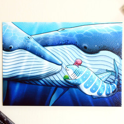 とうふ鮫（ジンベイザメ）リトルスポットジンベイザメポストカードとシロナガスクジラの出会い（ポストカード/カード/サメ/エレクトリ 1枚目の画像