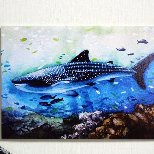 めばる, 水彩, 描かれた, 魚 めばる, 水彩, 描かれた, 魚