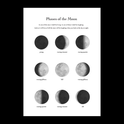 Phases of Moon - 4 / I018 / ポスター 2枚目の画像