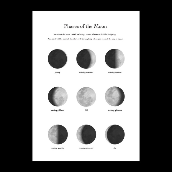 Phases of Moon - 4 / I018 / ポスター 2枚目の画像