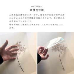 春の花びら / C015 /透明ポスター 3枚目の画像