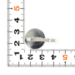 ZS-124【10個】＊平皿 丸皿 ポニーフック＊18mm【シルバー】 2枚目の画像