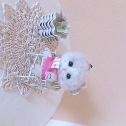 羊毛 猫 ｽﾄﾗｯﾌﾟ *モカちゃん* 2枚目の画像