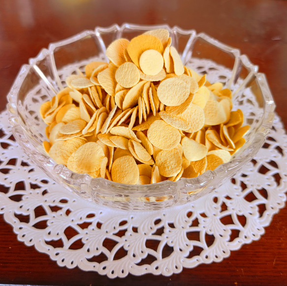 ☆実物大食品サンプル✩シリアル(コーンフレーク) 約5g分 その他素材  