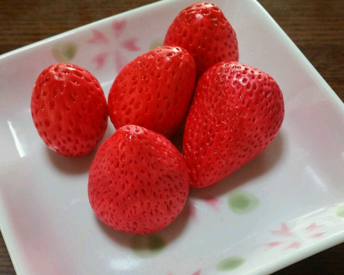 0_1aeeec8db1887ddbd908c6da3b8e