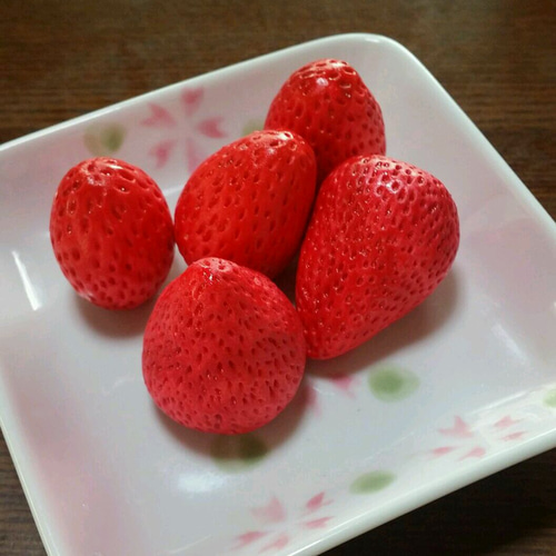 食品サンプル 実物大いちご5個セット フェイクフード その他置物