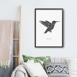 アートポスター/ Hummingbird おしゃれインテリア・北欧、モノトーン好きの方に☆ 2枚目の画像