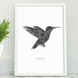 アートポスター/ Hummingbird おしゃれインテリア・北欧、モノトーン好きの方に☆ 1枚目の画像