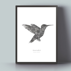 アートポスター/ Hummingbird おしゃれインテリア・北欧、モノトーン好きの方に☆ 4枚目の画像