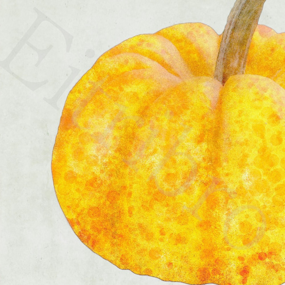 アートポスター/ Pumpkin　おしゃれインテリア・北欧、モノトーン好きの方に☆ 3枚目の画像