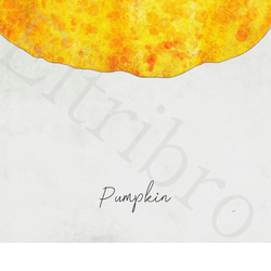 アートポスター/ Pumpkin　おしゃれインテリア・北欧、モノトーン好きの方に☆ 4枚目の画像