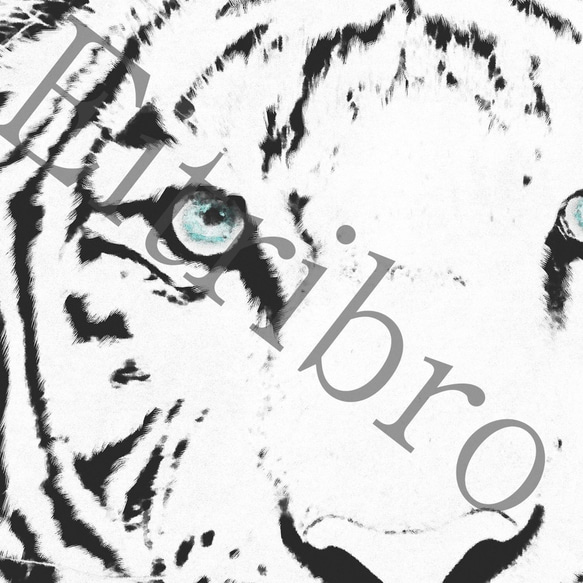 アートポスター/  White tiger　おしゃれインテリア・北欧、モノトーン好きの方に☆ 3枚目の画像
